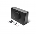 Rockford Fosgate P300-10T
